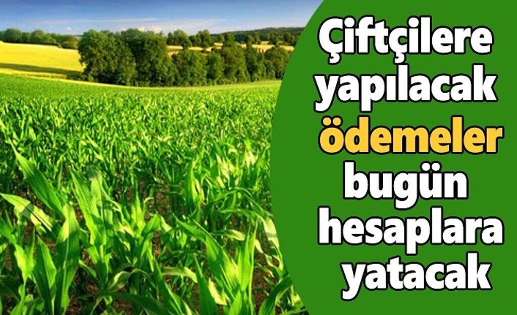 Çiftçilere yapılacak ödemeler bugün hesaplarında olacak