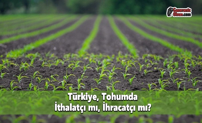 Türkiye, Tohumda İthalatçı mı, İhracatçı mı?