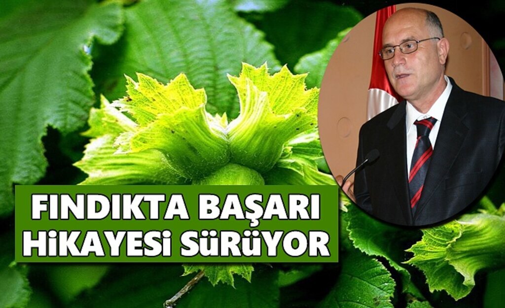 Fındıkta Başarı Hikayesi Sürüyor