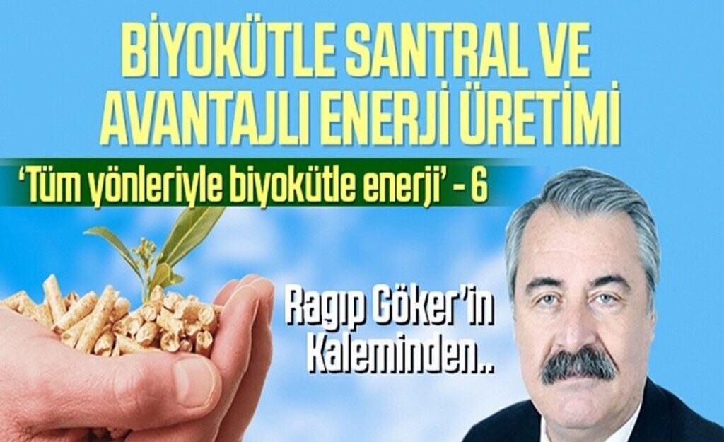 Tüm Yönleriyle Biyokütle Enerji - Yazı dizisi 6