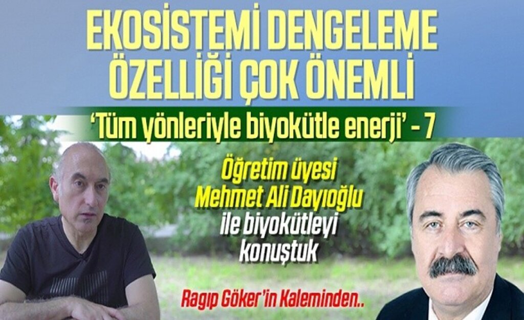 Tüm Yönleriyle Biyokütle Enerji - Yazı dizisi 7
