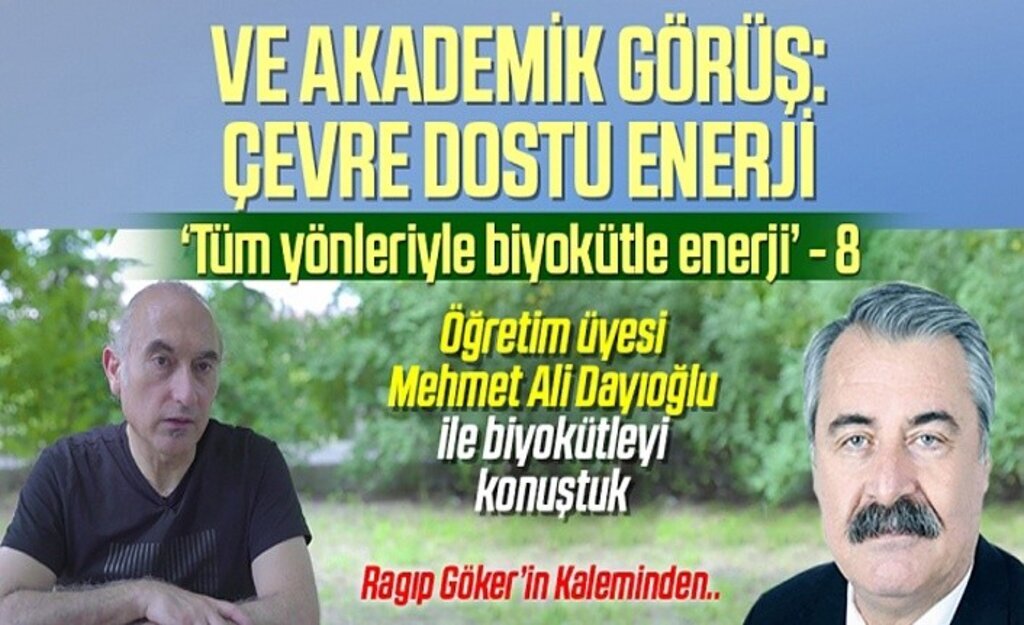 Tüm yönleriyle Biyokütle enerji- Yazı dizisi 8