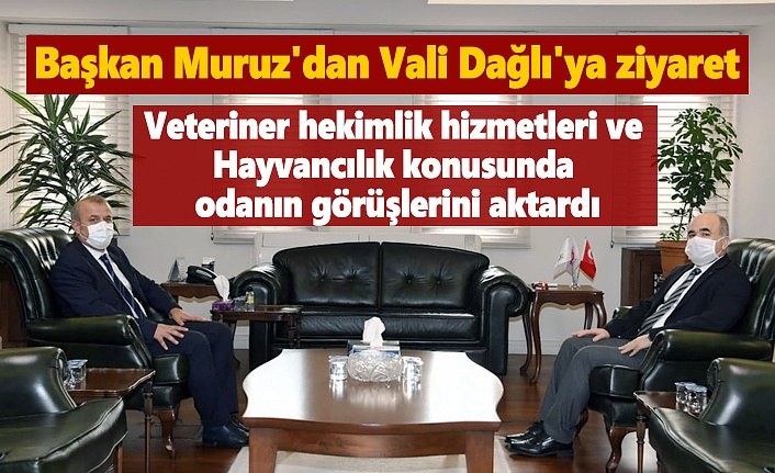 Başkan Muruz'dan Vali Dağlı'ya ziyaret