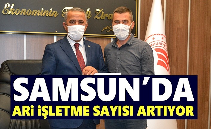 Samsun'da Ari İşletme Sayısı Artıyor