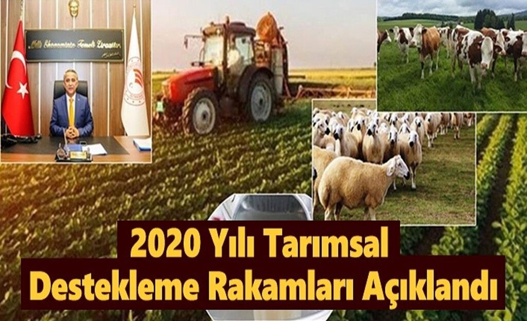2020 Yılı Tarımsal Destekleme Rakamları Açıklandı