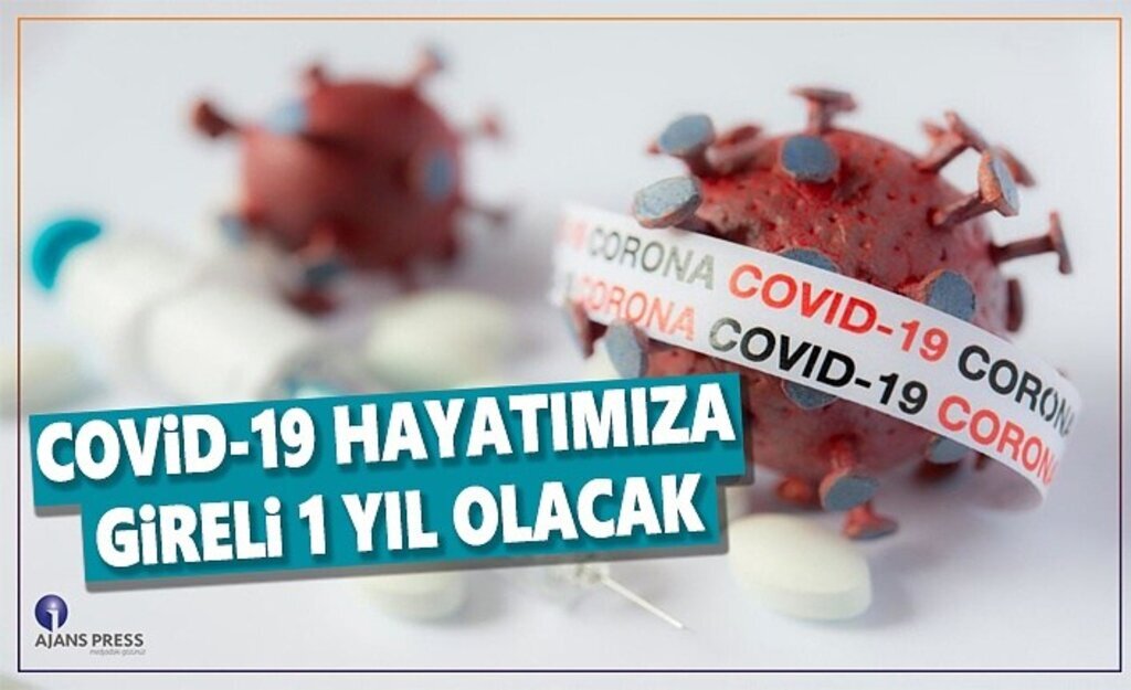 Covid-19 Hayatımıza gireli 1 yıl olacak