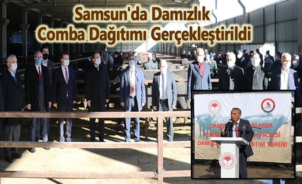 Damızlık Mandalarda Verimliliği Artırma Projesi Gerçekleştirildi