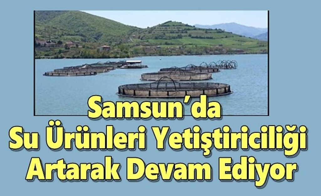 Samsun’da Su Ürünleri Yetiştiriciliği Artarak Devam Ediyor