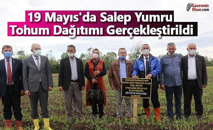 19 Mayıs'da Salep Yumru Tohum Dağıtımı Gerçekleştirildi