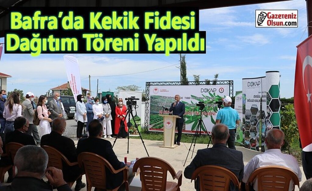 Bafra’da Kekik Fidesi Dağıtım Töreni Yapıldı