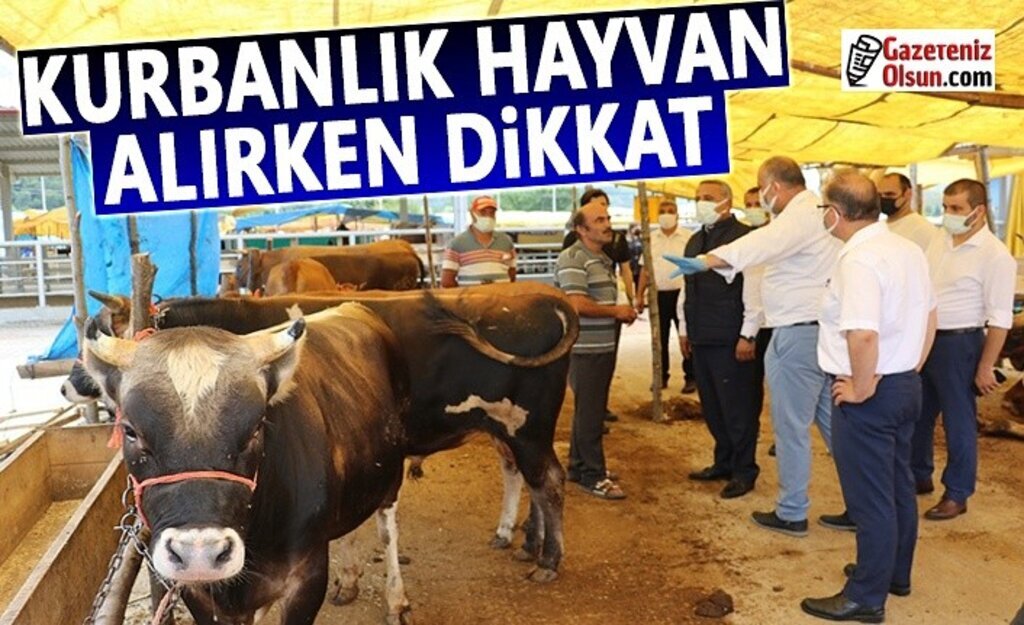 İl Müdürü Sağlam, Kurbanlık Satış Yerlerine Ziyaret Etti