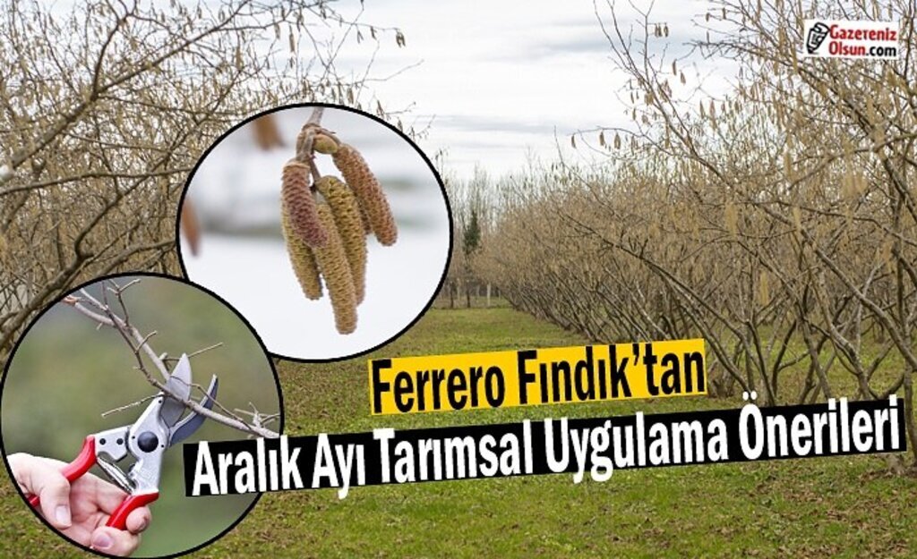 Ferrero Fındık’tan Aralık Ayı Tarımsal Uygulama Önerileri