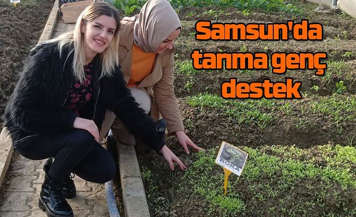 Samsun'da tarıma genç destek