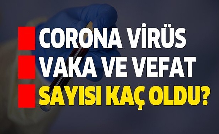 6 Ocak koronavirüs tablosu, bugünkü vaka ve vefat sayıları
