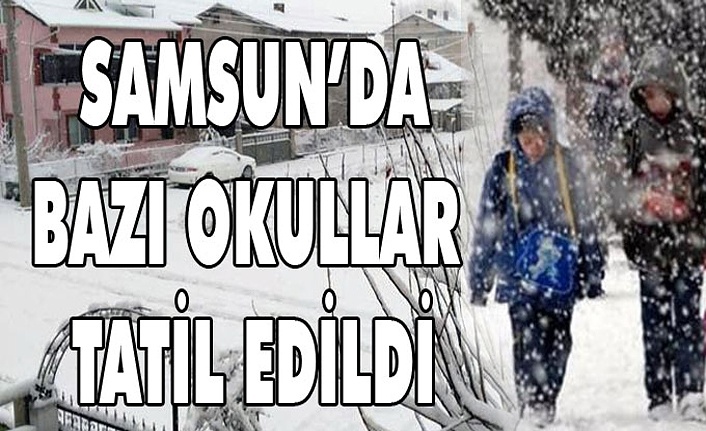 Samsun'da hangi okullar tatil edildi? Yarın Samsun'da hangi okullar kar tatili!