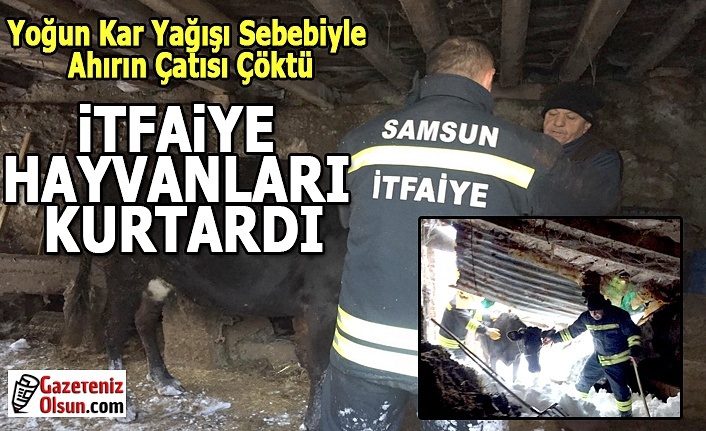 Samsun'da Hayvanları İtfaiye kurtardı