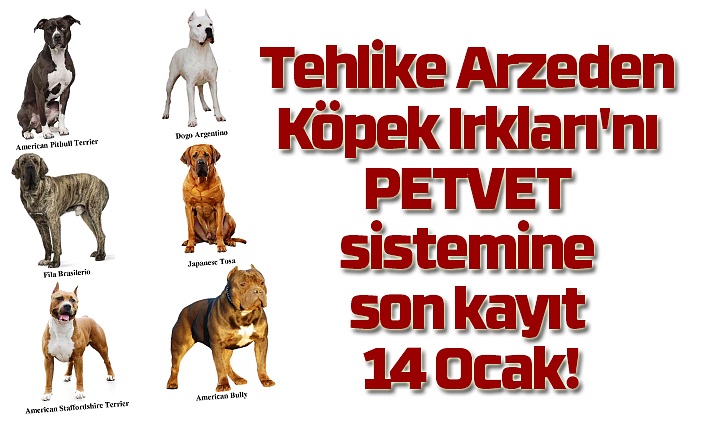 Tehlike Arzeden Köpek Irkları'nı PETVET sistemine kayıt açıklaması!