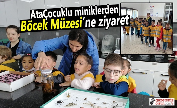 AtaÇocuklu miniklerden Böcek Müzesi’ne ziyaret
