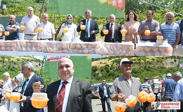 Akdeniz Meyve Sineği tuzağı dağıtıldı! Samsun Haber