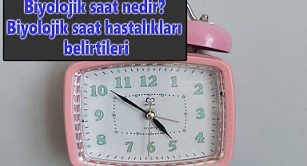 Biyolojik saat nedir? Biyolojik saat hastalıkları belirtileri