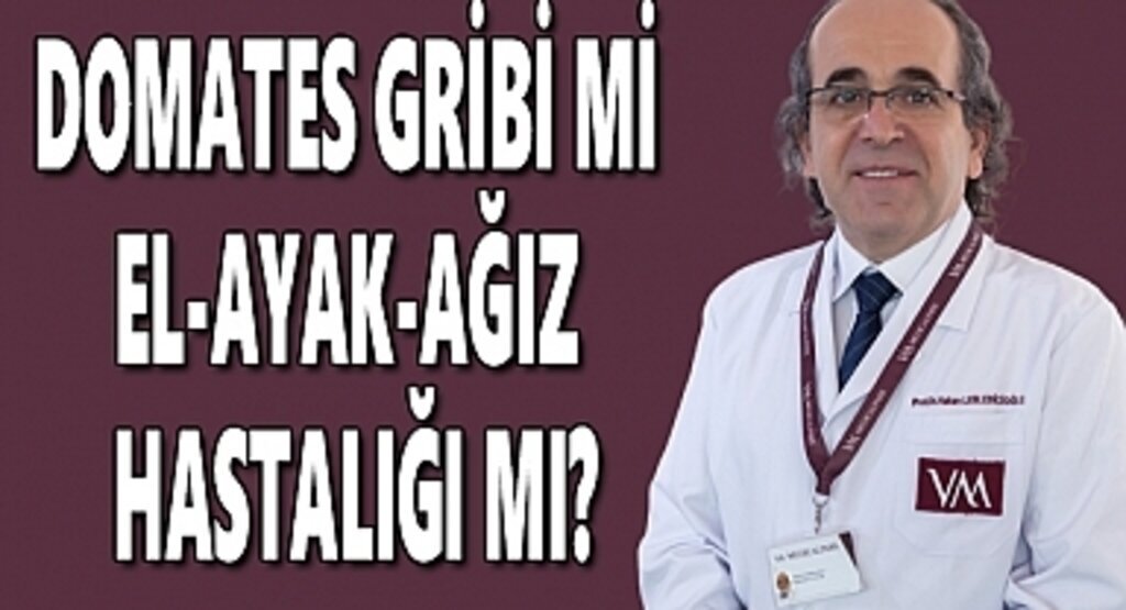 Domates gribi mi, el-ayak-ağız hastalığı mı?