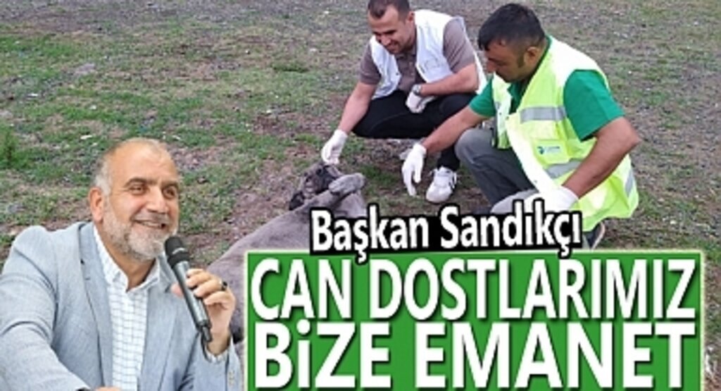 Başkan Sandıkçı: Can dostlarımız bize emanet