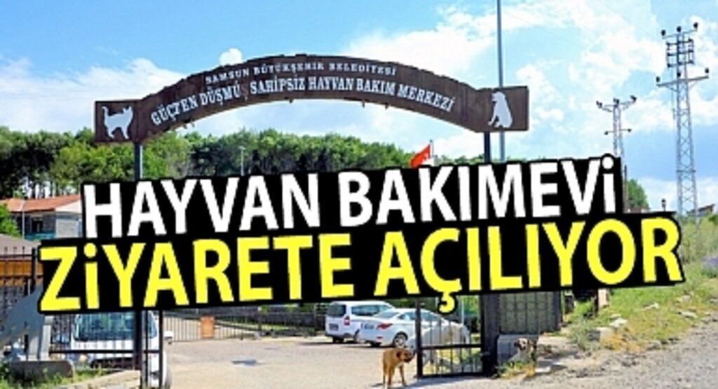 Hayvan bakımevi ziyarete açılıyor