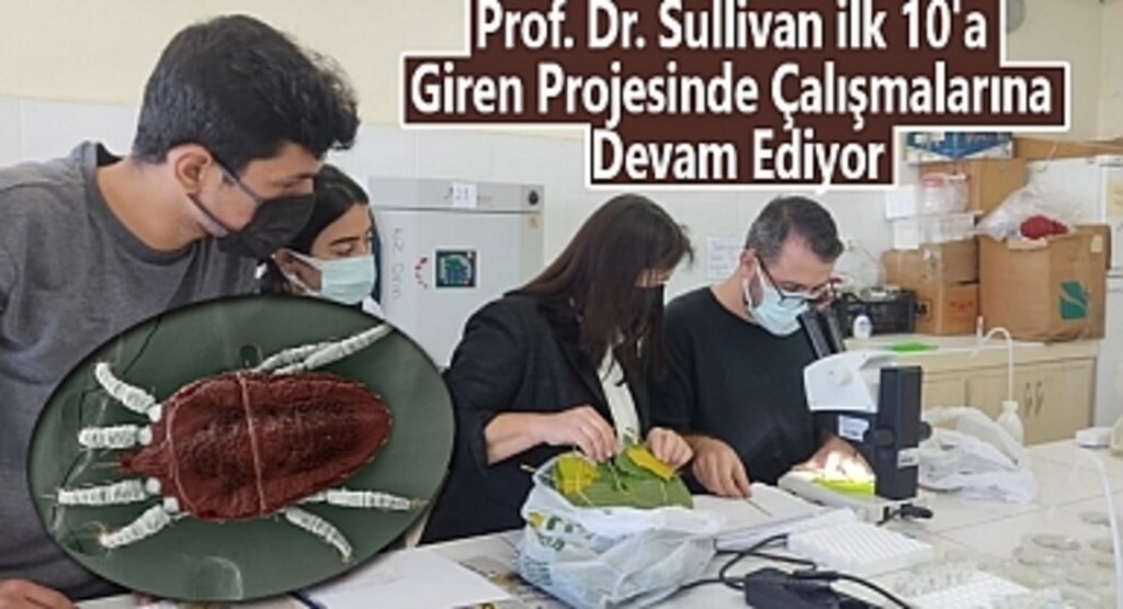 Prof. Dr. Sullivan ilk 10'a Arasına Giren Projesinde Çalışmalar Devam Ediyor