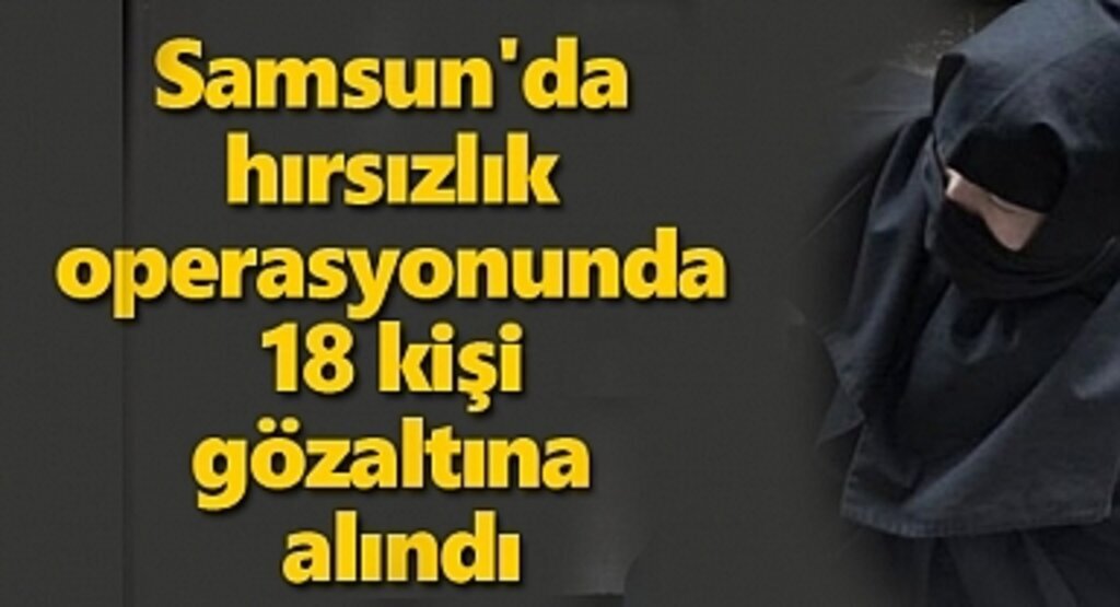Samsun'da hırsızlık operasyonunda 18 kişi gözaltına alındı