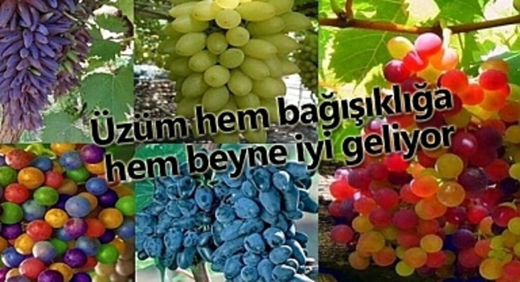 Üzümün faydaları saymakla bitmiyor!