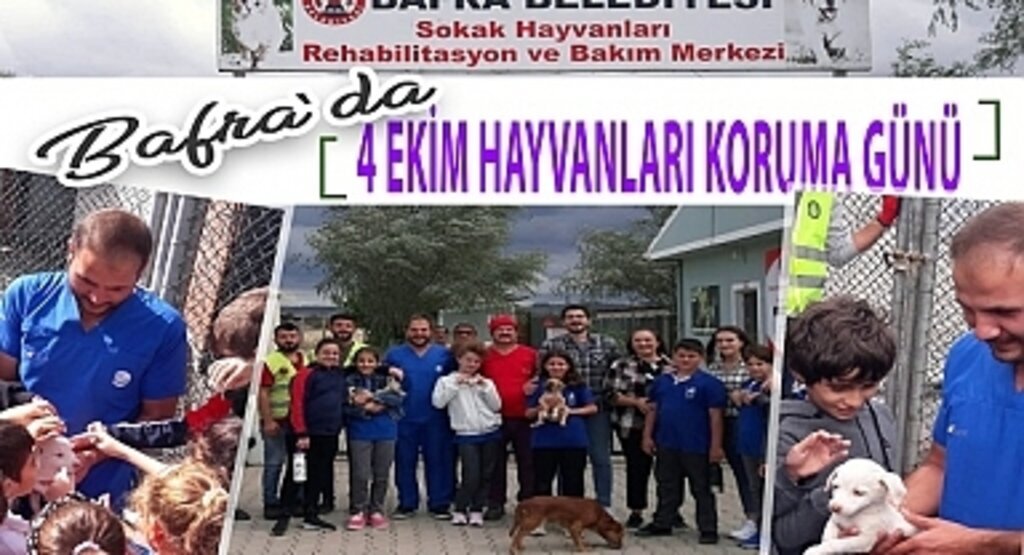 Bafra'da 4 Ekim Sokak Hayvanları Koruma Günü