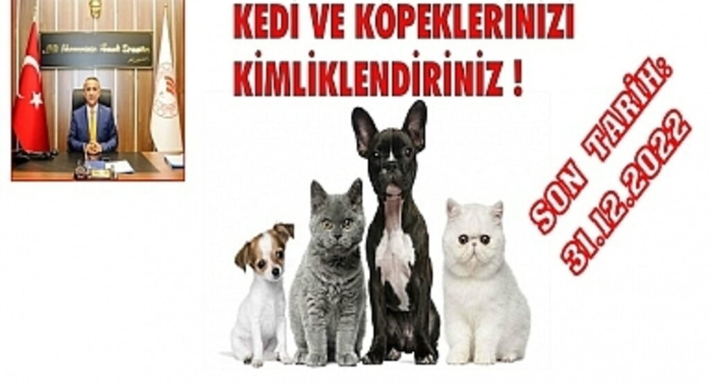 Kedi ve Köpek sahipleri dikkat son gün 31 Aralık