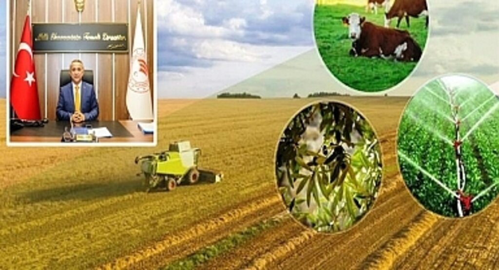 Samsun’da 66 Milyon 206 Bin TL’lik Yeni Bir Destekleme Ödemesi Üreticilerin Hesaplarında