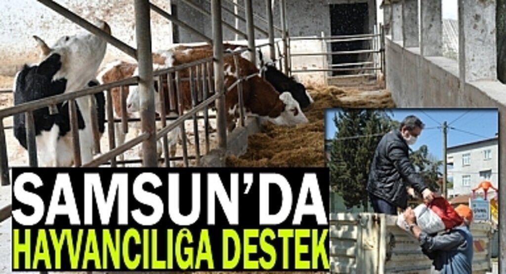 Samsun'da Hayvancılığa büyük destek