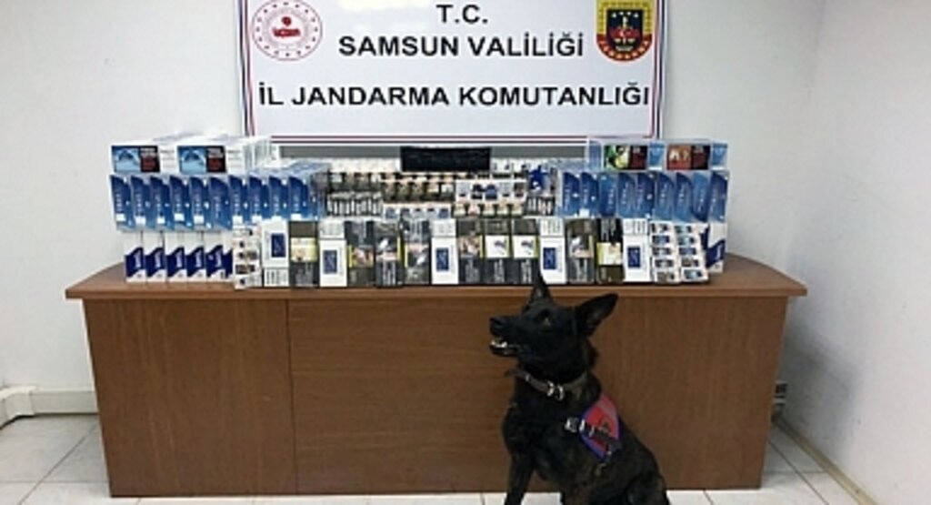 Samsun'da jandarmadan uyuşturucu ve kaçakçılık operasyonları