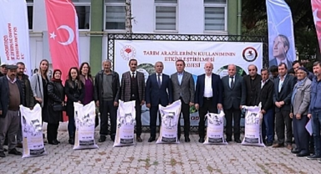 Samsun’da Yerli ve Milli Buğday Çeşitleri Yaygınlaşıyor