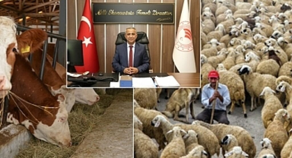 2022 Yılı Hayvancılık Desteklemeleri Uygulama Tebliği Yayınlandı