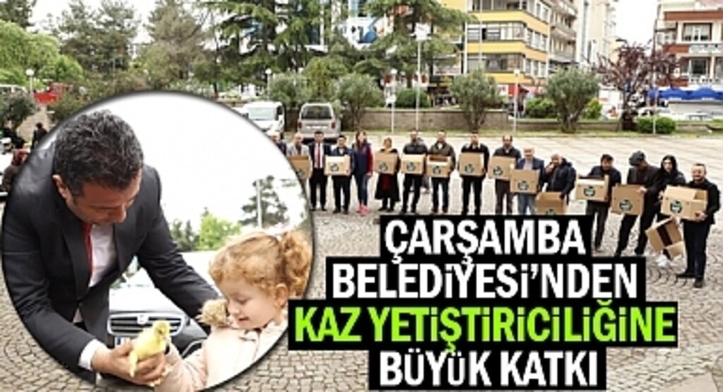 Çarşamba Belediyesi'nden Kaz Yetiştiriciliğine Katkı