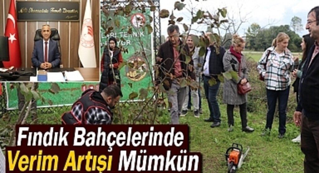 Fındık Bahçelerinde Verim Artışı Mümkün