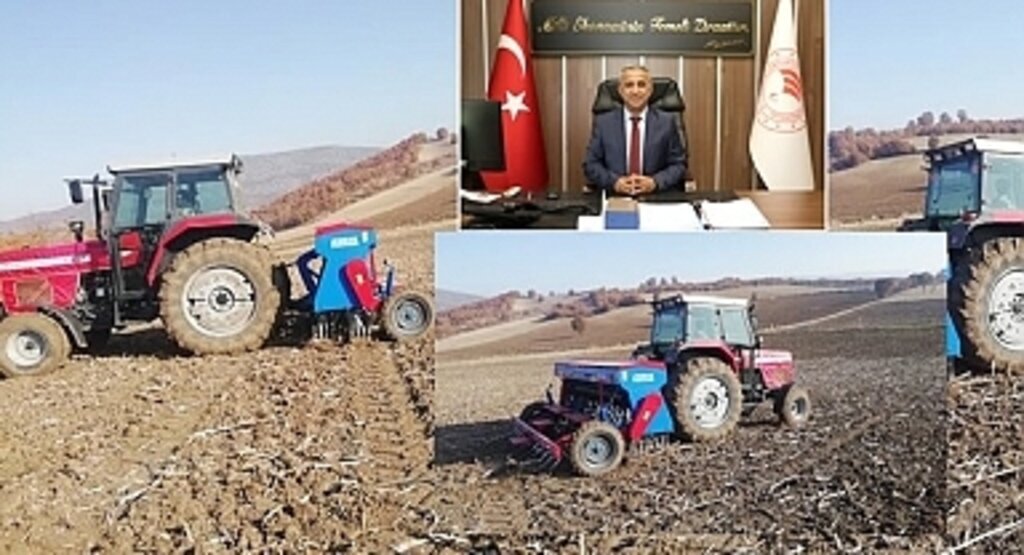 Samsun'da Buğday Ekimi Devam Ediyor