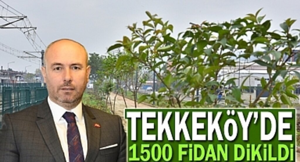 Tekkeköy'de 1500 fidan toprakla buluştu
