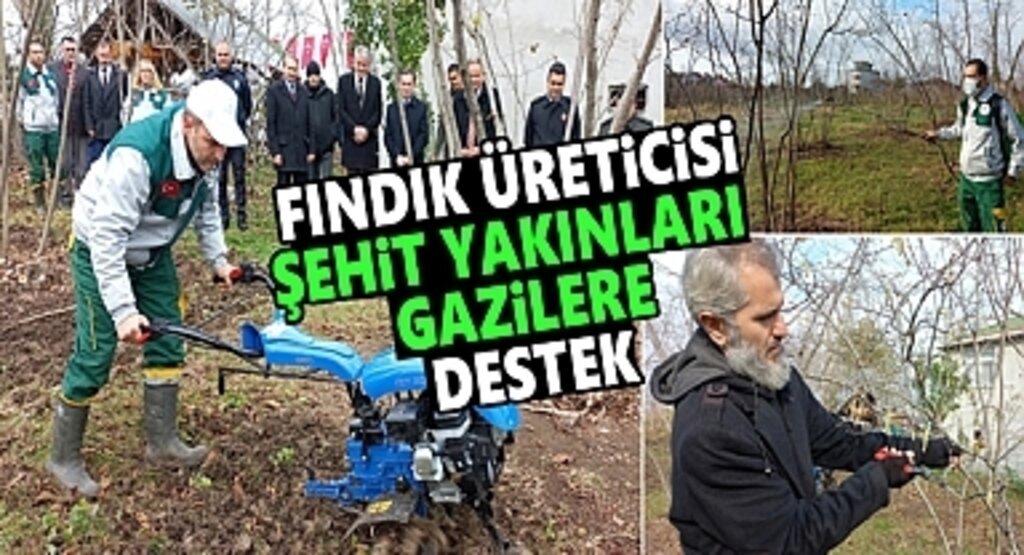 Fındık Üreticisi Şehit Yakınlarına ve Gazilere Destek