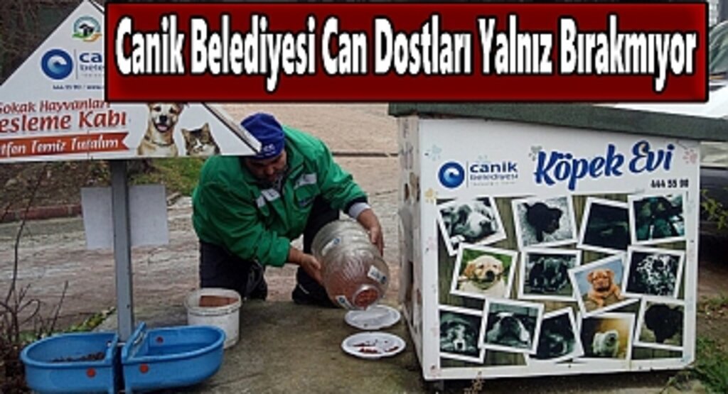 Canik Belediyesi Can Dostları Yalnız Bırakmıyor