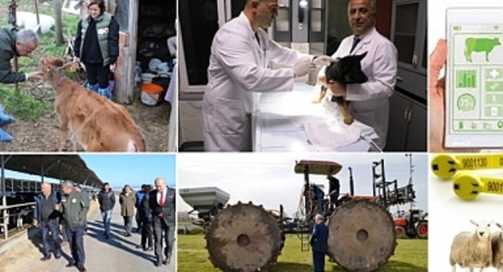 Hayvansal Üretimde 2022 Yoğun Bir Yıl Oldu