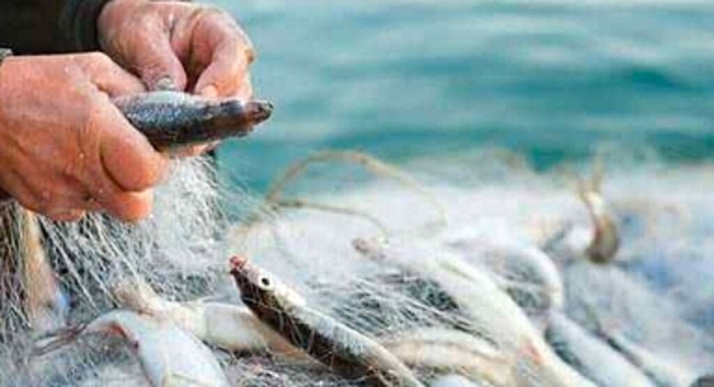 Küçük Ölçekli Balıkçılık Destekleri İçin Başvuru Zamanı