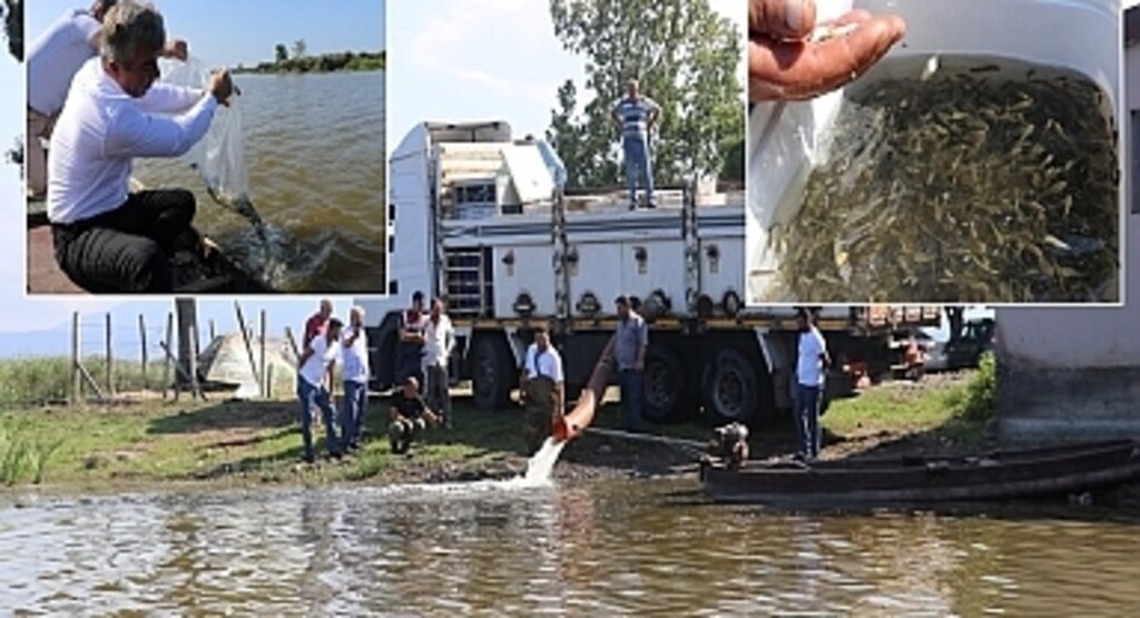 Samsun için 2022 Yılı Su Ürünlerinde Bereketli Bir Yıl Oldu