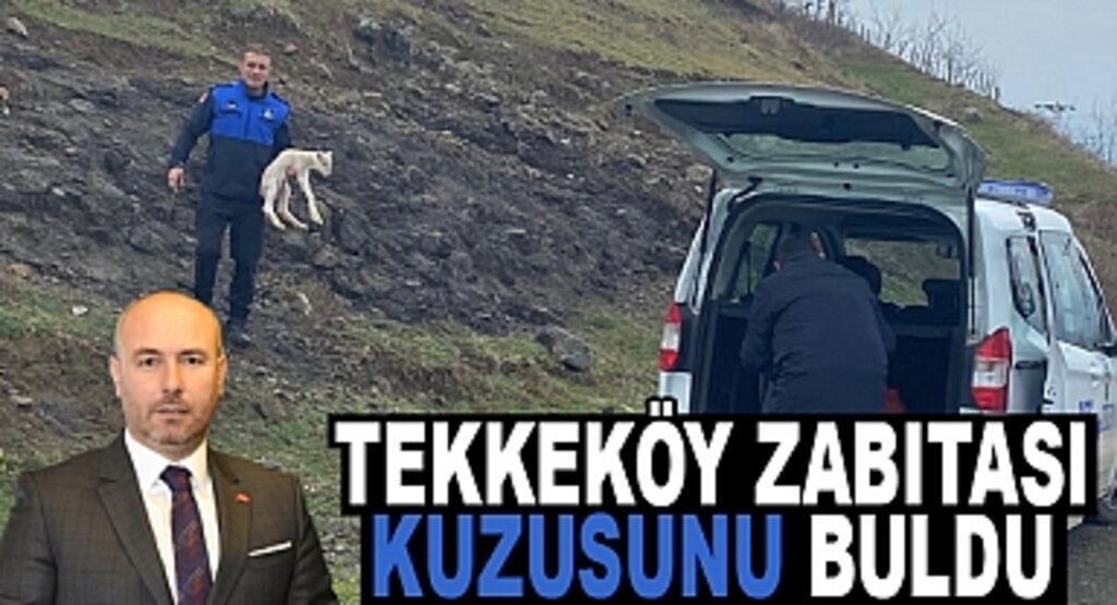 Tekkeköy Belediyesi Zabıtasından kayıp kuzu anonsu