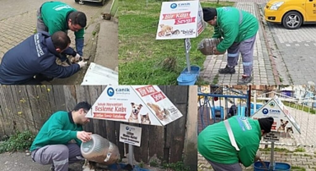 Canik Belediyesi can dostları için sahada 