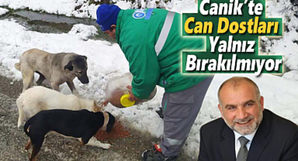 Canik’te Can Dostları Yalnız Bırakılmıyor