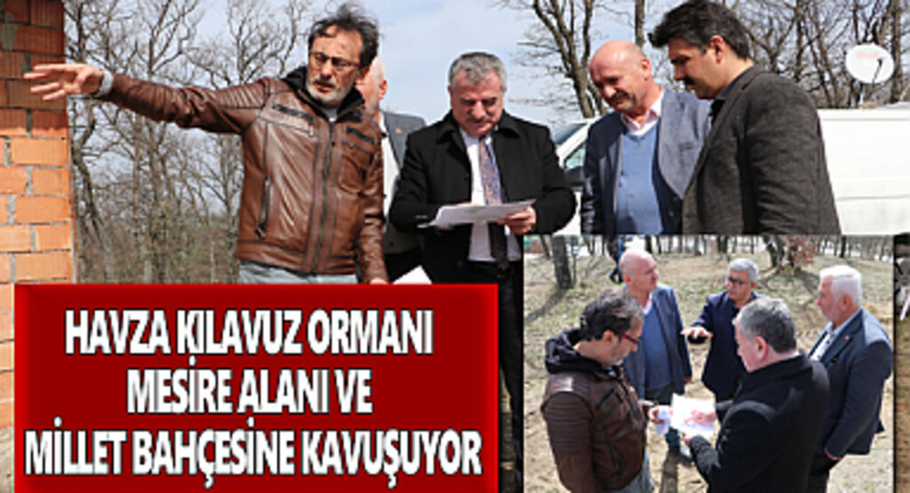 Havza Kılavuz Ormanı Mesire Alanı ve Millet Bahçesine Kavuşuyor